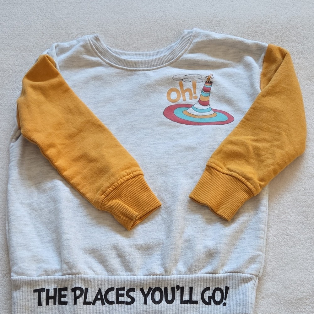 Dr. Seuss Gray Yellow Graphic Print Long Sleeve Pullover T-Shirt 4T
